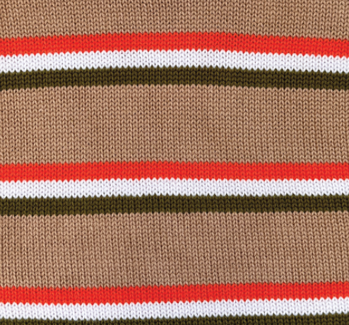 オーガニックストライプベスト