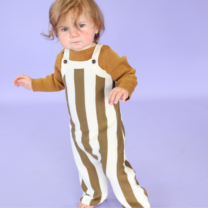 Vertical Stripe Knit Overalls