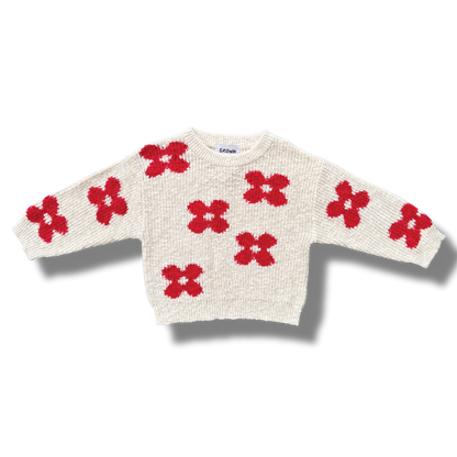 Knitted Posy Pull Over