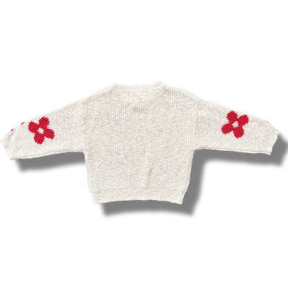 Knitted Posy Pull Over