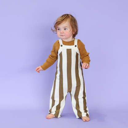 Vertical Stripe Knit Overalls